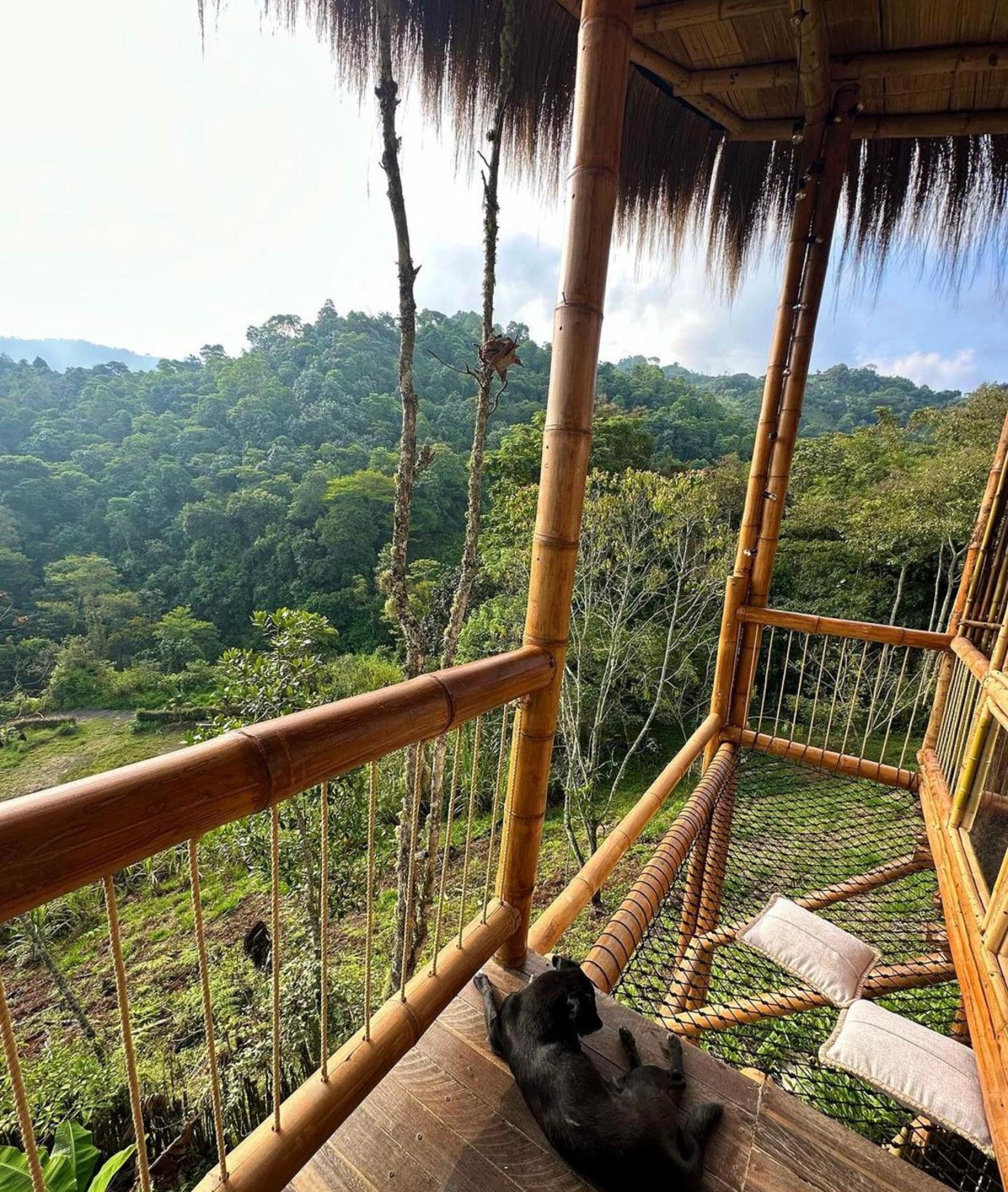 Montelena Glamping *