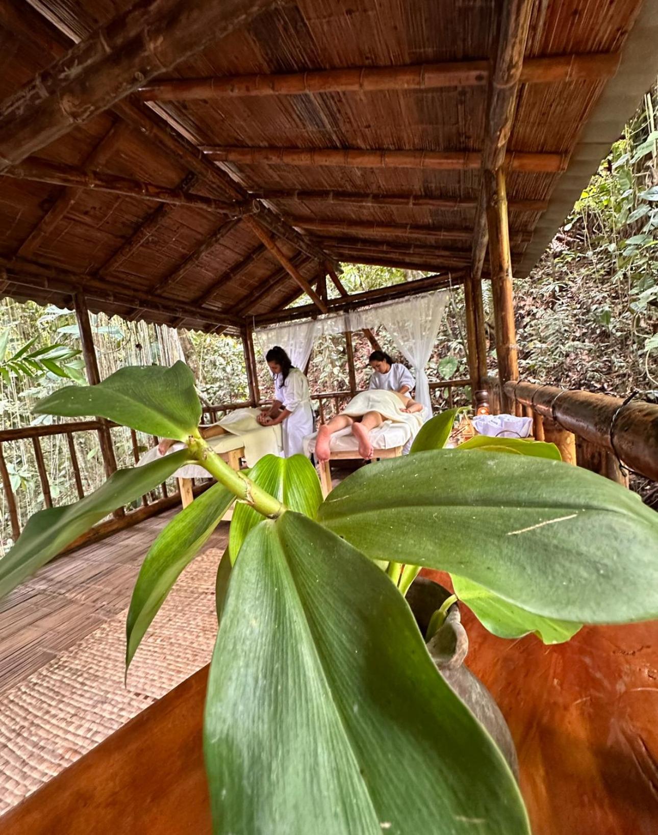 Campsite Montelena Glamping