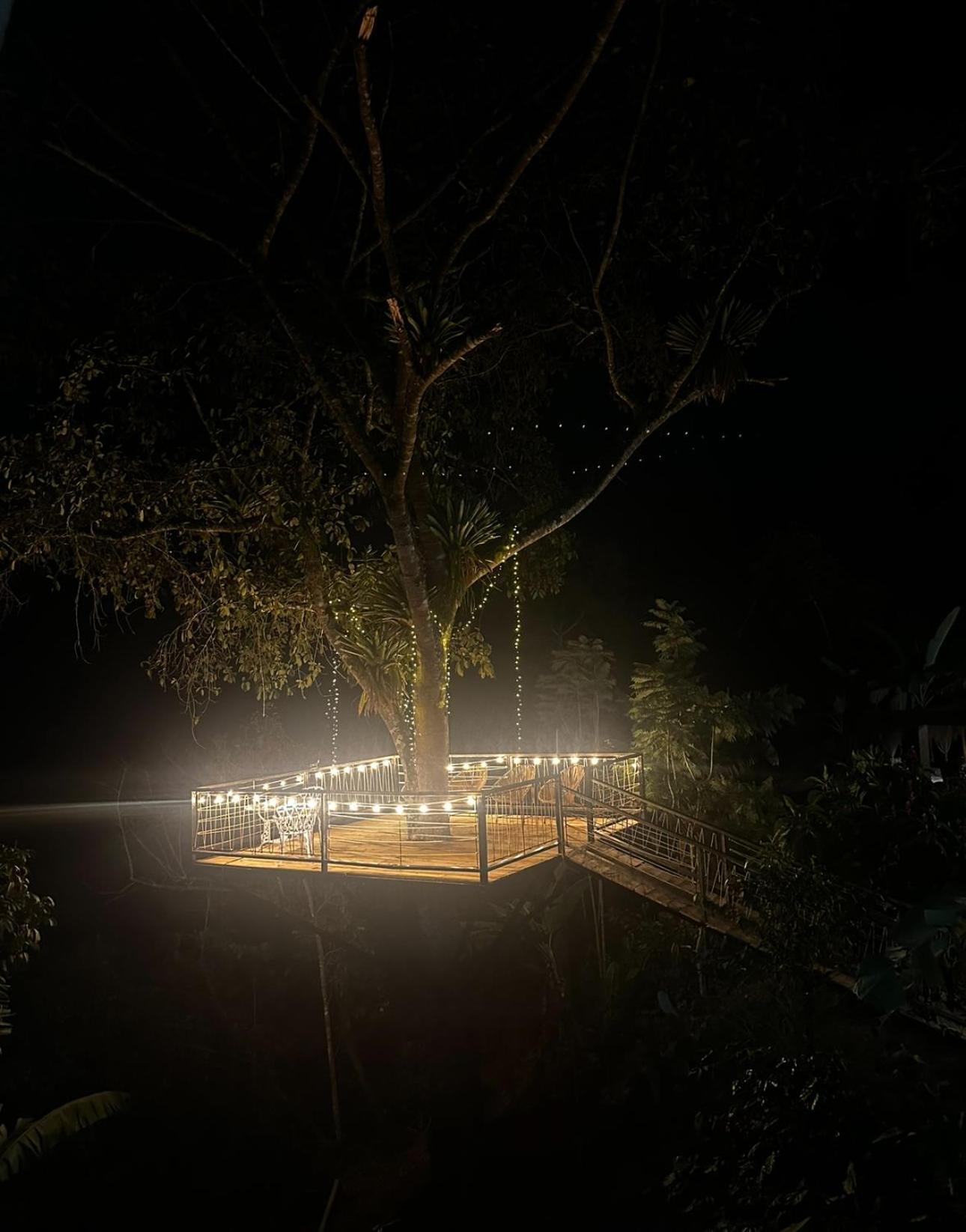 Montelena Glamping Campsite *